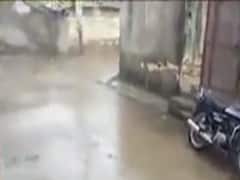 અમરેલીના ખાંભા અને ગ્રામ્ય વિસ્તારમાં ધોધમાર વરસાદ, જુઓ વીડિયો