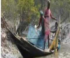 কথা সত্ত্বেও মথুরাপুর ২ নং ব্লকে কেন গেল না কেন্দ্রীয় দল? সরব তৃণমূল 