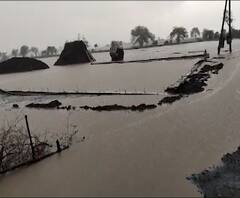 Monsoon 2020 | अमरावतीतील अनेक गावांत मुसळधार पावसाची हजेरी