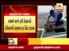 કચ્છમાં કોસ્ટગાર્ડે આજે ફરી દરિયામાંથી ચરસના 88 પેકેટ ઝડપ્યા, જુઓ વીડિયો 