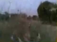 મહેસાણા જિલ્લામાં પણ તીડનો આતંક, કયા કયા વિસ્તારમાં દેખાયા તીડ? જુઓ વીડિયો