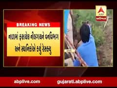 અમરેલીના સાવરકુંડલાના દોલતીમાં નાળા નીચે ફસાયેલી નીલગાયનું રેસક્યુ, જુઓ વીડિયો