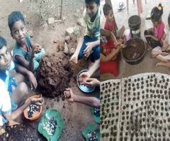 Rural News | पालघरच्या उटावलीत विद्यार्थी आणि युवकांनी बनवले सीड बॉल्स | माझं गाव माझा जिल्हा 