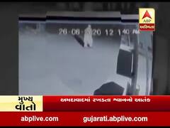 અમદાવાદમાં રખડતા શ્વાનનો આતંક, વૃદ્ધ પર કર્યો હુમલો, જુઓ વીડિયો