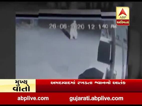 અમદાવાદમાં રખડતા શ્વાનનો આતંક, વૃદ્ધ પર કર્યો હુમલો, જુઓ વીડિયો