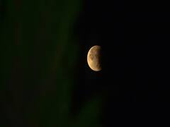 Lunar Eclipse 2020: आज के Chandra Grahan को लेकर ज्योतिषविद और वैज्ञानिक के बीच हुई जोरदार बहस