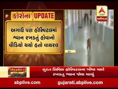 સુરત સિવિલ હોસ્પિટલના બીજા માળે શ્વાન રખડતું જોવા મળ્યું, વીડિયો વાયરલ 