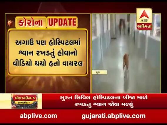 સુરત સિવિલ હોસ્પિટલના બીજા માળે શ્વાન રખડતું જોવા મળ્યું, વીડિયો વાયરલ 