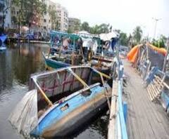 পাটুলির ভাসমান বাজারের নৌকোর জমা জলে ডেঙ্গি আতঙ্ক! কী ব্যবস্থা নিচ্ছে পুরসভার?