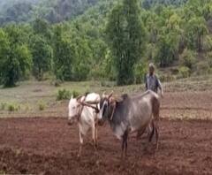 Satara Lamaj | सातारकरांना गेल्या वर्षीच्या नुकसानाची भरपाई कधी मिळणार? चेरापुंजीला मागे टाकणारं गाव आजही सावरतंय