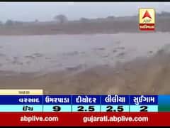 પાટણઃ રાધનપુરના ગુલાબપુરા ગામે ઘાસચારો પલળી જતાં નુકસાન, જુઓ વીડિયો