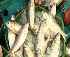 বাজারে এল রুপোলি ইলিশ, কিনতে যাওয়ার আগে দামটা জেনে নিন!