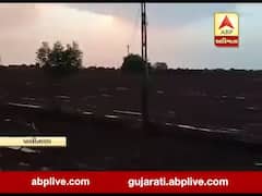 ભાવગનર: પાલીતાણા પંથકમાં ભારે પવન સાથે વરસાદ, જુઓ વીડિયો 