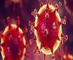 করোনা: রেকর্ড! দেশে একদিনে আক্রান্ত প্রায় ১০ হাজার, মোট আক্রান্ত ছাড়াল ২.৫ লক্ষ 