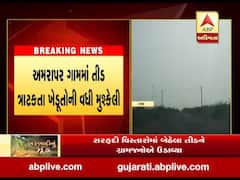 કચ્છના ભચાઉ પર ખડીર વિસ્તારના અમરાપરમાં તીડનું આક્રમણ, જુઓ વીડિયો 