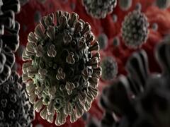 Number of Coronavirus positive cases crosses 67 lakh mark in world