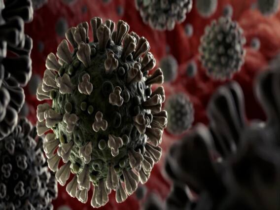 Number of Coronavirus positive cases crosses 67 lakh mark in world