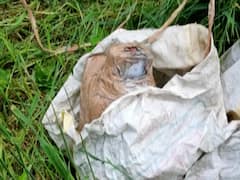 J&K: Security Forces diffuse IED in Baramulla