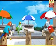 রাজ্য রাজনীতি নিয়ে তরজায় টিয়া-কাকাতুয়া-গোমড়া