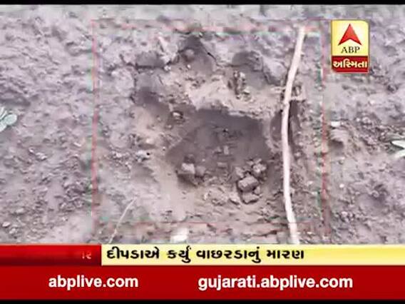 રાજકોટઃ મનહરપુરમાં ગામમાં દીપડાએ દેખા દેતા લોકોમાં ભયના માહોલ, જુઓ વીડિયો