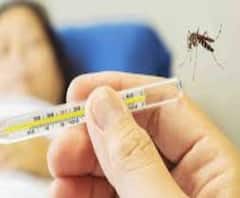 এক ঝলকে: ডেঙ্গি রুখতে তৎপর পুরসভা, পাশকুঁড়ায় দুর্ঘটনায় মৃত করোনা রোগী