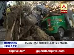 અમદાવાદમાં ધોધમાર વરસાદઃ શહેરમાં 7 વૃક્ષો થયા ધરાશાયી, જુઓ વીડિયો