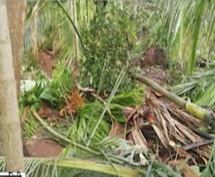 Cyclone Nisarga Effect | 'निसर्ग' चक्रीवादळामुळे रत्नागिरीच्या केळशी गावात प्रचंड नुकसान