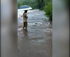 Sindhudurg Rain | सिंधुदुर्ग जिल्ह्यात रात्रभर मुसळधार पाऊस; शेतशिवारात पाणी 