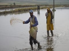 Farmers can sell their produce in any state on their terms and conditions: PM Modi