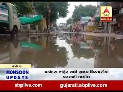 વડોદરાઃ વાઘોડિયામાં પવન સાથે ધોધમાર વરસાદ, જુઓ વીડિયો