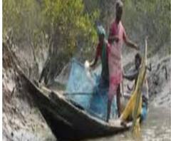 উমপুনের 'ক্ষত' খতিয়ে দেখতে রাজ্যে আসছে ৭ সদস্যের কেন্দ্রীয় দল 