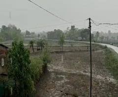 Rural News | पालघरसह राज्यातील अनेक जिल्ह्यात पावसाची दमदार हजेरी | माझं गाव माझा जिल्हा 