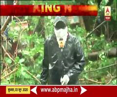 Cyclone Nisarga | मुंबईच्या सायन परिसरात झाडं कोसळल्याची घटना