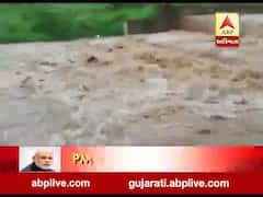 ભાવનગરમાં ધોધમાર વરસાદ પડતા બગડ નદીમાં આવ્યા નવા નીર, જુઓ વીડિયો 