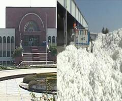 Cotton issue | शेतकऱ्यांजवळचा शिल्लक सगळा कापूस खरेदी करा; औरंगाबाद खंडपीठाचे प्रशासनाला आदेश