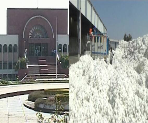 Cotton issue | शेतकऱ्यांजवळचा शिल्लक सगळा कापूस खरेदी करा; औरंगाबाद खंडपीठाचे प्रशासनाला आदेश