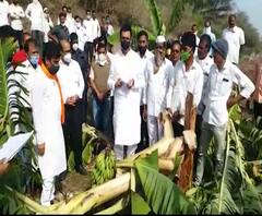 Ahmednagar | संगमनेर, अकोलेमध्ये बाळासाहेब थोरातांकडून वादळामुळे झालेल्या नुकसानाची पाहणी