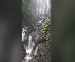 Rural News | माझं गाव माझा पाऊस | जिल्ह्याजिल्ह्यातील पावसाच्या बातम्यांचा आढावा 