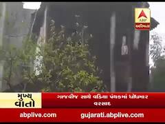 અમરેલીના વડિયા પંથકમાં ગાજવીજ સાથે ધોધમાર વરસાદ, જુઓ વીડિયો 