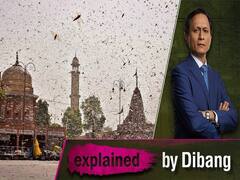 Why Entry Of Locust Swarms In Delhi Is Dangerous For India| ABP Uncut