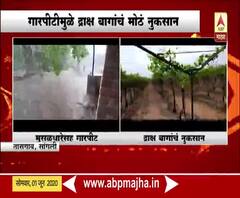 Monsoon in Sangli | सांगलीत मुसळधार पावसासह गारपीट; द्राक्ष बागांचं मोठं नुकसान
