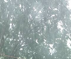 Mumbai Rains | 13 आणि 14 जून रोजी मुंबई, ठाणे आणि पालघरमध्ये मुसळधार पावसाचा अंदाज