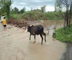 Rain News | राज्यभर पावसाची हजेरी, गावागावातील पावसाचा आढावा | माझं गाव माझा पाऊस