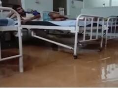 गुना अस्पताल में घुसा बारिश का पानी, फटाफट देखिए मौसम से जुड़ी खबरें