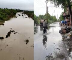 Hingoli-Parbhani Rains | हिंगोली, परभणीत रात्रभर मुसळधार पाऊस; नदी प्रवाहित, शेतशिवारात पाणी 