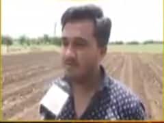 સુરતના મોટાભાગના તાલુકાઓમાં ખેડૂતોએ વહેલા વાવેતર કર્યું,જુઓ વીડિયો