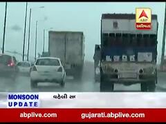 વડોદરા જિલ્લામાં પણ વાતાવરણમાં આવ્યો પલટો, જુઓ વીડિયો 