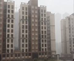 Cyclone Nisarga Effect | नवी मुंबई,पनवेल भागात पहाटेपासून सोसाट्याच्या वाऱ्यासह पावसाच्या जोरदार सरी