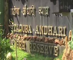 ताडोबातल्या प्रस्तावित खाणीच्या लिलावाला विरोध, पर्यावरण मंत्री आदित्य ठाकरेंचं केंद्रीय पर्यावरण मंत्र्यांना पत्र