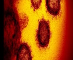 করোনা: দেশে মৃত্যুর হার ৩.২২ শতাংশ, সুস্থ হয়েছেন ৫৫.৭৭ শতাংশ মানুষ